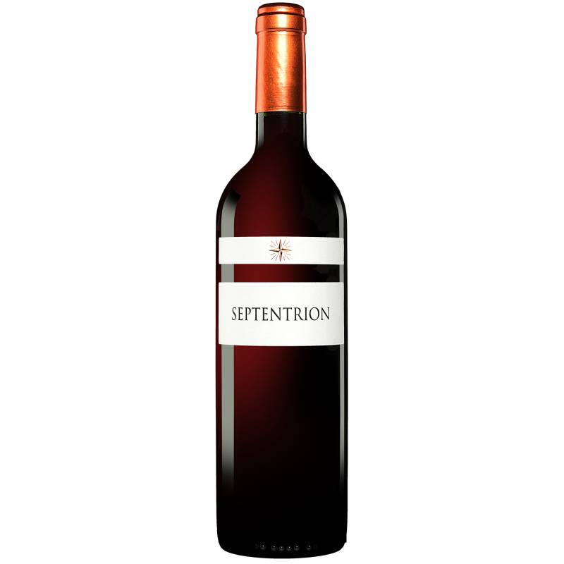 Septentrión 2020  0.75L 14% Vol. Rotwein Trocken aus Spanien von Orvalaiz