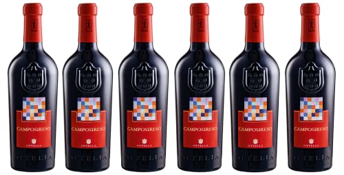 6x 0,75l - Ottella - Campo Sireso - Rosso Veronese I.G.P. - Veneto - Italien - Rotwein trocken von Ottella