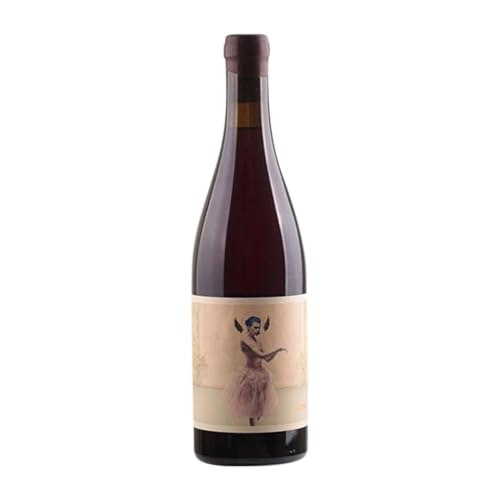 Oxer Wines Otto Rosado Rioja 75 cl Rosé-Wein Oxer Wines Otto Rosado Rioja 75 cl Rosé-Wein von Oxer Bastegieta Zenigaonaindia