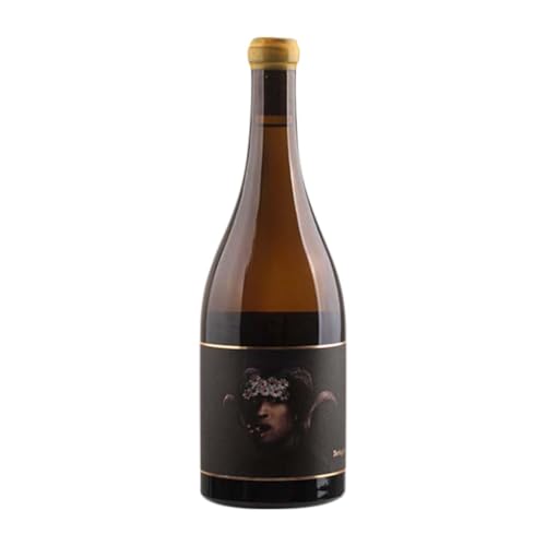Oxer Wines Terlegiz Hondarribi Zuri Bizkaiko Txakolina 75 cl Weißwein Oxer Wines Terlegiz Hondarribi Zuri Bizkaiko Txakolina 75 cl Weißwein von Oxer Bastegieta Zenigaonaindia