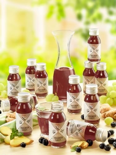 Ingwer-Aronia-Shot, Bio 12er von Oxitien