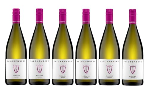 6x 1,0l - 2023er - P. J. Valckenberg - Riesling - LITER - Qualitätswein Rheinhessen - Deutschland - Weißwein trocken 6x 1,0l - 2023er - P. J. Valckenberg - Riesling - LITER - Qualitätswein Rheinhessen - Deutschland - Weißwein trocken von P. J. Valckenberg
