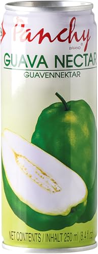 PANCHY Guavennektar, Fruchtsaftgehalt mind. 25 Prozent, Einwegpfand DPG - 1 x 250 ml PANCHY Guavennektar, Fruchtsaftgehalt mind. 25 Prozent, Einwegpfand DPG - 1 x 250 ml von PANCHY