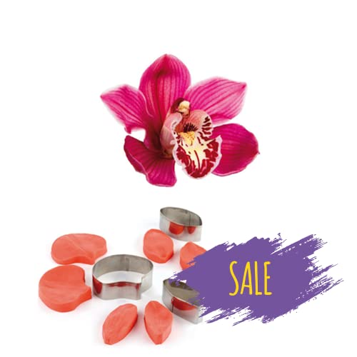1 Veiner/Prägewerkzeug Orchidee 1 Veiner/Prägewerkzeug Orchidee von Pavoni