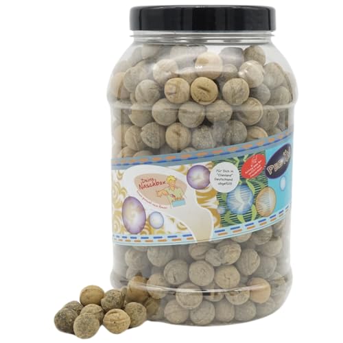 Deine Naschbox | Harte Salmiak Lakritz Bälle | 2kg Big Pot | XXL Großpackung - für Party, Candybar & als Geschenk - Salmiakpuder - Gelatinefrei Deine Naschbox | Harte Salmiak Lakritz Bälle | 2kg Big Pot | XXL Großpackung - für Party, Candybar & als Geschenk - Salmiakpuder - Gelatinefrei von PE ÄM