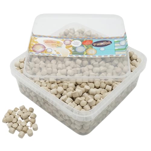 Deine Naschbox | Süßholz Lakritz Pastillen | 1kg Naschbox | XL Großpackung für Party, Candybar & als Geschenk - Gelatinefrei - Salmiak - Zylinder von PE ÄM