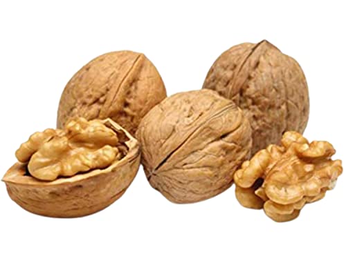 Pergamo Walnüsse in der Schale 2kg | Premium Walnüsse Neue Ernte | 100% Natürlich & Unbehandelt | Glutenfrei | Ohne Zusätze Pergamo Walnüsse in der Schale 2kg | Premium Walnüsse Neue Ernte | 100% Natürlich & Unbehandelt | Glutenfrei | Ohne Zusätze von PERGAMO Natural Flavor