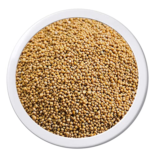 PEnandiTRA® - Senfkörner Senfsaat Senfsamen gelb - 1 kg - VEGAN von PEnandiTRA