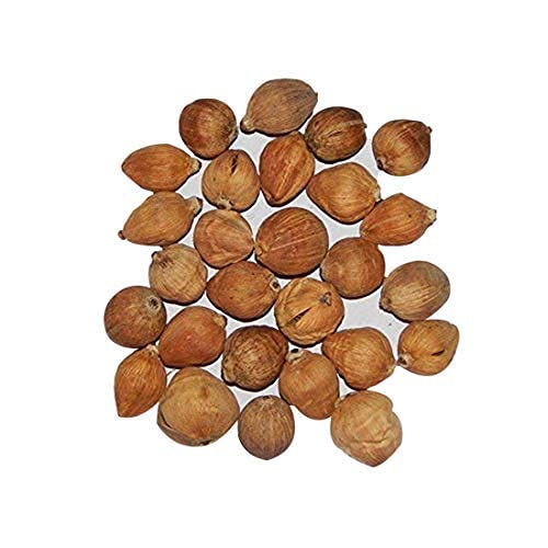 Earth Best Original Laghu Coconut - Sriphal - Laghu Nariyal - Set of 11 Pieces Earth Best Original Laghu Coconut - Sriphal - Laghu Nariyal - Set of 11 Pieces von PKD