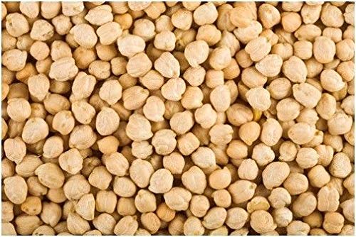 PLAT FIRM GERMINATIONSAMEN: 2 Unzen Bio Kichererbsen Samen -A2 PLAT FIRM GERMINATIONSAMEN: 2 Unzen Bio Kichererbsen Samen -A2 von PLAT FIRM