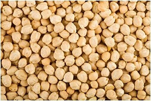 PLAT FIRM GERMINATIONSAMEN: Bio-Kichererbsen-Samen 90 Garbanzo-Bohnensamen NICHT GVO -a2 PLAT FIRM GERMINATIONSAMEN: Bio-Kichererbsen-Samen 90 Garbanzo-Bohnensamen NICHT GVO -a2 von PLAT FIRM