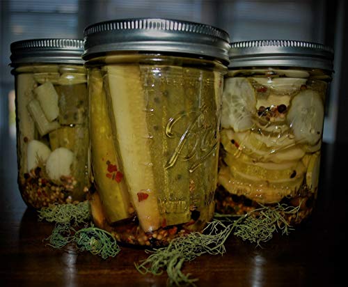 PLAT FIRM Keim Seeds: Wasser im Munde, hausgemachte Pickles wir in der unch in KNIRSCHEN !!!!!! PLAT FIRM Keim Seeds: Wasser im Munde, hausgemachte Pickles wir in der unch in KNIRSCHEN !!!!!! von PLAT FIRM
