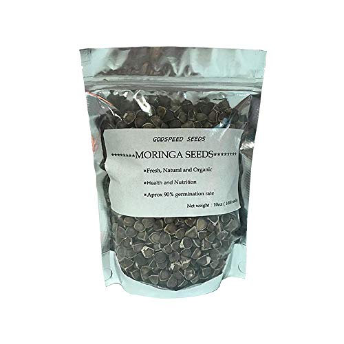 PLAT FIRM: 1000 Oleifera 100% Bio-Saatgut Frische est PLAT FIRM: 1000 Oleifera 100% Bio-Saatgut Frische est von PLAT FIRM