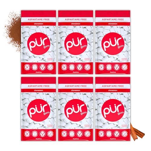 Pur Gum | Zuckerfreier Kaugummi | 100% Xylit | Vegan, Aspartamfrei, Glutenfrei & Diabetikerfreundlich | Natürlicher Kaugummi Mit Cinnamon Geschmack, 55 Stück (6er Pack) von PUR