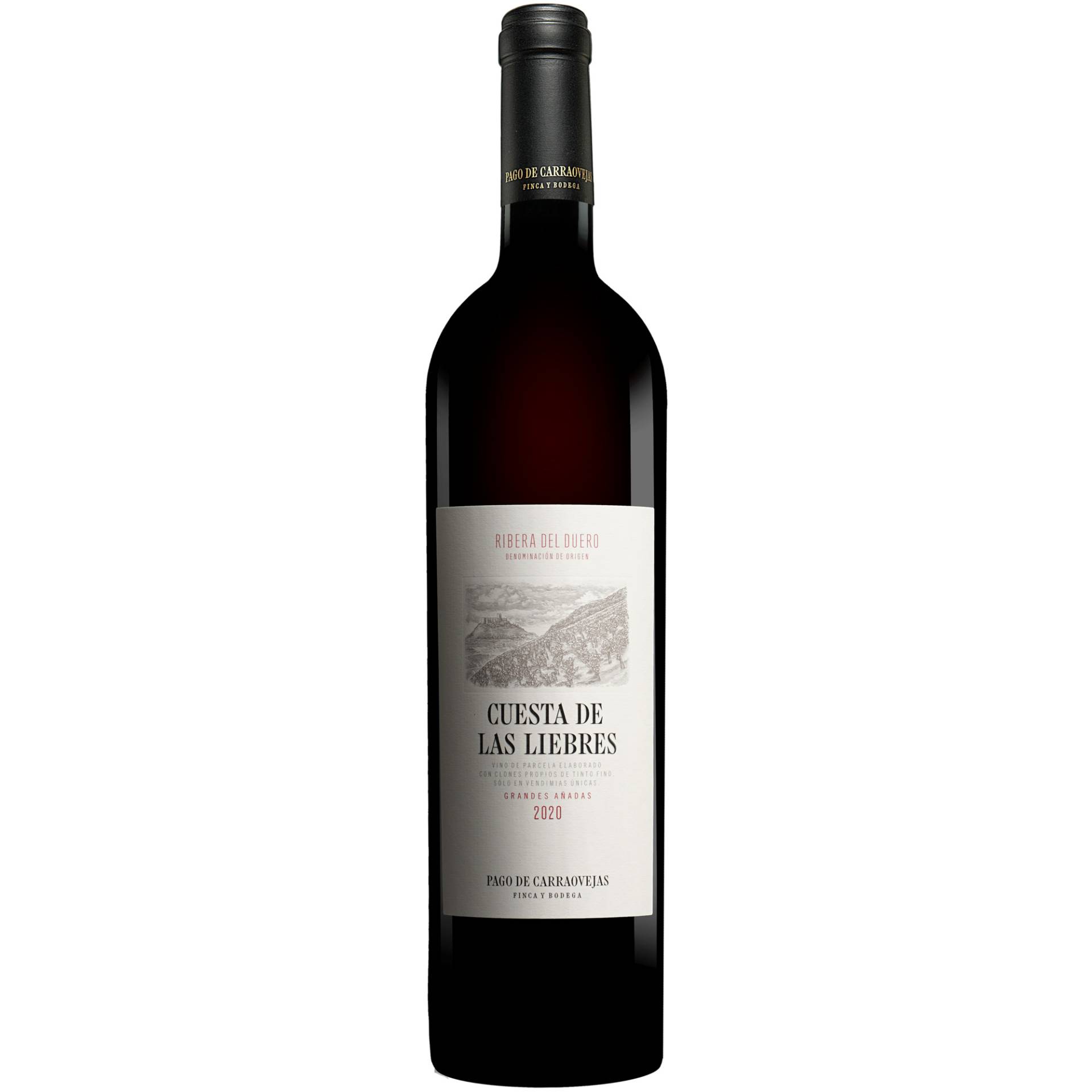Pago de Carraovejas »Cuesta de las Liebres« Reserva 2020 0.75L 15% Vol. Rotwein Trocken aus Spanien Pago de Carraovejas »Cuesta de las Liebres« Reserva 2020 0.75L 15% Vol. Rotwein Trocken aus Spanien von Pago de Carraovejas