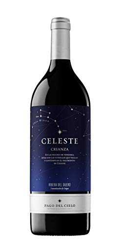 Miguel Torres Celeste Tempranillo Magnum 2012 Trocken (1 x 1.5 l) von Pago del Cielo