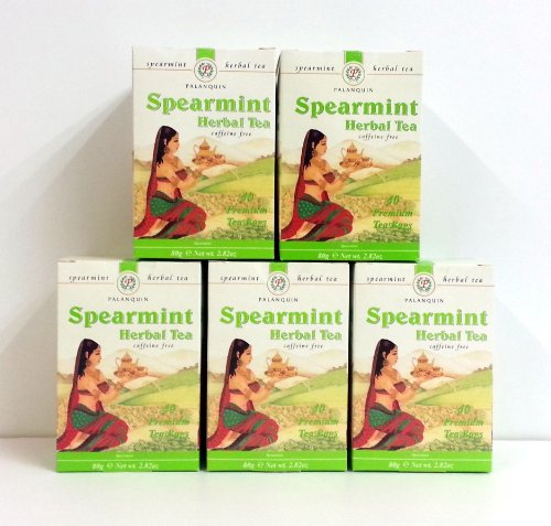 Palanquin Spearmint Tee (5 Boxen) von Palanquin