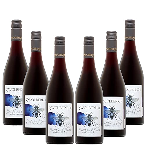 Pinot Noir& Pinotin feinherb, Rotwein-Weingut im Zwölberich, Nahe 2020 (6x 0,75L), Bio, Vegan, Demeter von Palatina Werkstatt