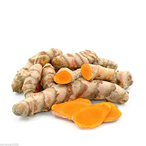 5 x 100g Frischer Kurkuma - Pamai Pai® - frisch Kurkume Curcuma Gelber Ingwer Wurzel von Pamai Pai