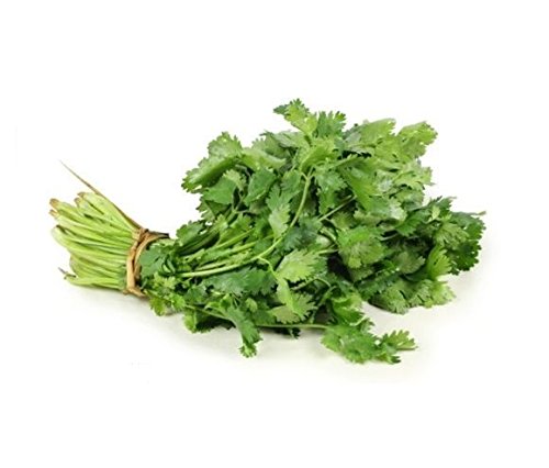 100g Frischer Koriander Coriander frisch Pak Chi Thai Thailand Cilantro mit Wurzel Pamai Pai® von Pamai Pai