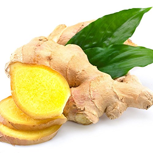 1kg Frischer Ingwer Pamai Pai® frisch Ginger Wurzel Ingwerwurzel von Pamai Pai