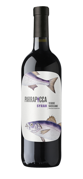 Syrah Terre Siciliane IGT 2023 von Parrapicca