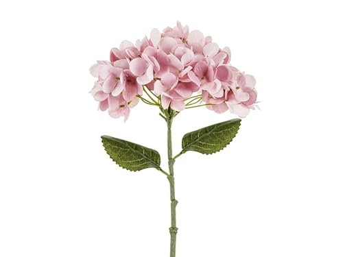 Künstliche Hortensie – 35 cm – Hellrosa – Realistische Seidenblume für Hochzeit, Tischdeko, Frühling & DIY Künstliche Hortensie – 35 cm – Hellrosa – Realistische Seidenblume für Hochzeit, Tischdeko, Frühling & DIY von PartyDeco