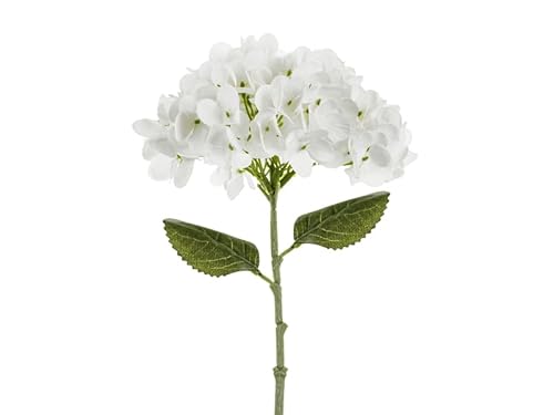 Künstliche Hortensie – 35 cm – Weiß – Realistische Seidenblume für Hochzeit, Tischdeko, DIY & Frühling Künstliche Hortensie – 35 cm – Weiß – Realistische Seidenblume für Hochzeit, Tischdeko, DIY & Frühling von PartyDeco