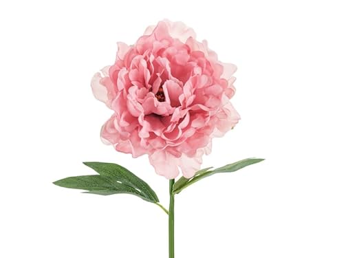 Künstliche Pfingstrose – 35 cm – Rosa – Realistische Seidenblume für Vase, Hochzeit, Frühling & Tischdeko Künstliche Pfingstrose – 35 cm – Rosa – Realistische Seidenblume für Vase, Hochzeit, Frühling & Tischdeko von PartyDeco