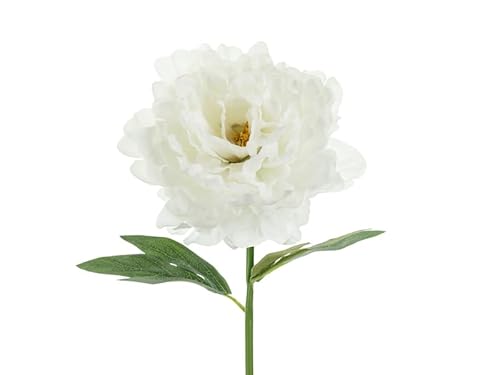 Künstliche Pfingstrose – 35 cm – Weiß – Realistische Seidenblume für Vase, Hochzeit, Frühling & Tischdeko Künstliche Pfingstrose – 35 cm – Weiß – Realistische Seidenblume für Vase, Hochzeit, Frühling & Tischdeko von PartyDeco