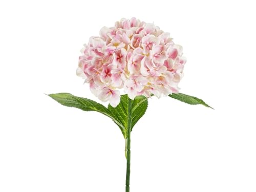 Künstliche Premium-Hortensie – 69 cm – Hellrosa – Große Seidenblume für Vase, Hochzeit, Tischdeko & Frühling Künstliche Premium-Hortensie – 69 cm – Hellrosa – Große Seidenblume für Vase, Hochzeit, Tischdeko & Frühling von PartyDeco