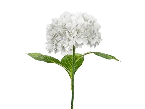 Künstliche Premium-Hortensie – 69 cm – Weiß – Große Seidenblume für Hochzeit, Vase, Floristik & Deko Künstliche Premium-Hortensie – 69 cm – Weiß – Große Seidenblume für Hochzeit, Vase, Floristik & Deko von PartyDeco