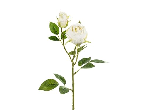 Künstliche Rose mit 2 Knospen – 55 cm – Hellcreme – Realistische Deko-Blume für Hochzeit, Vase, DIY & Tischdeko Künstliche Rose mit 2 Knospen – 55 cm – Hellcreme – Realistische Deko-Blume für Hochzeit, Vase, DIY & Tischdeko von PartyDeco