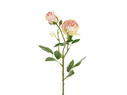 Künstliche Rose mit 2 Knospen – 55 cm – Hellpuderrosa – Realistische Deko-Blume für Hochzeit, Vase, DIY & Tischdeko Künstliche Rose mit 2 Knospen – 55 cm – Hellpuderrosa – Realistische Deko-Blume für Hochzeit, Vase, DIY & Tischdeko von PartyDeco