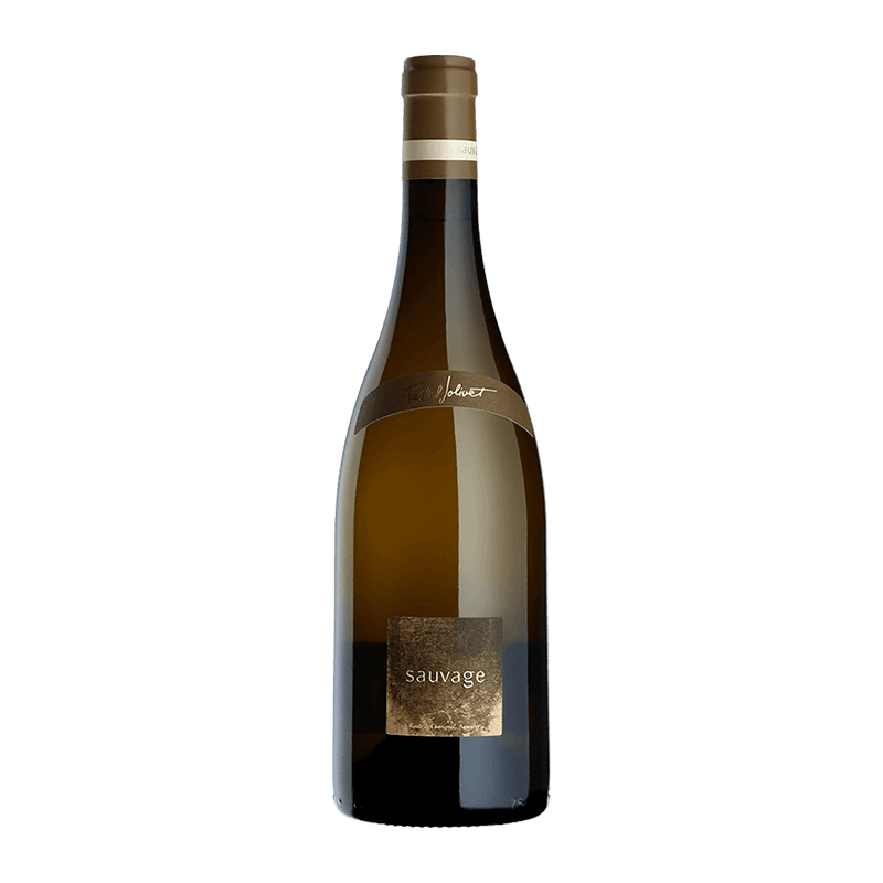 Pascal Jolivet : Sauvage 2021 Pascal Jolivet : Sauvage 2021 von Pascal Jolivet