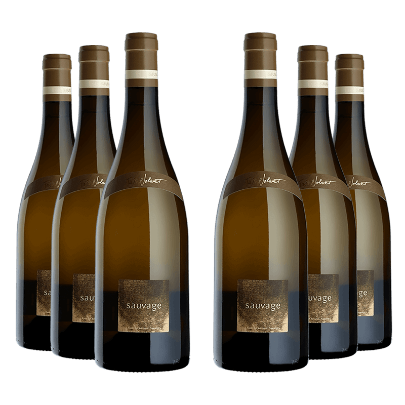 Pascal Jolivet : Sauvage 2023 Pascal Jolivet : Sauvage 2023 von Pascal Jolivet