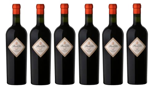 6x 0,75l - Pascual Toso - Alta - Syrah - Mendoza - Argentinien - Rotwein trocken von Pascual Toso