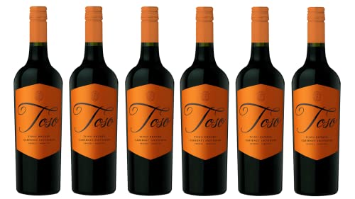 6x 0,75l - Pascual Toso - Estate - Cabernet Sauvigno - Mendoza - Argentinien - Rotwein trocken von Pascual Toso