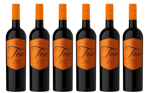 6x 0,75l - Pascual Toso - Estate - Malbec - Mendoza - Argentinien - Rotwein trocken von Pascual Toso