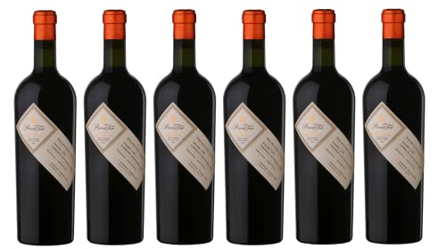 6x 0,75l - Pascual Toso - Finca Pedregal - Mendoza - Argentinien - Rotwein trocken von Pascual Toso