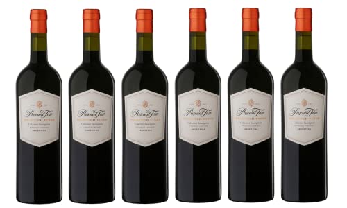 6x 0,75l - Pascual Toso - Selected Vines - Cabernet Sauvignon - Mendoza - Argentinien - Rotwein trocken von Pascual Toso