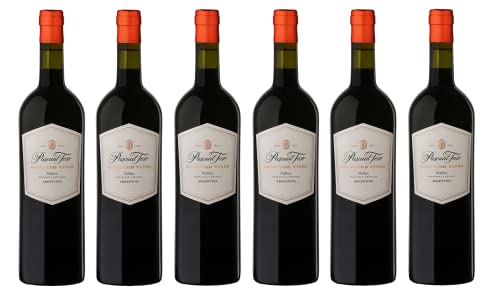 6x 0,75l - Pascual Toso - Selected Vines - Malbec - Mendoza - Argentinien - Rotwein trocken von Pascual Toso