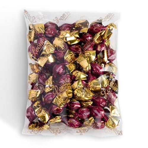 Leone seit 1857 - Amarena-Gelees überzogen mit Zartbitterschokolade - Glutenfrei und vegan - Nachfüllbeutel - 500g von Pastiglie Leone