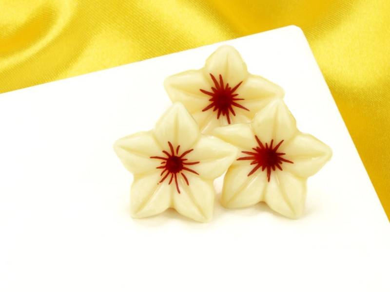 1 Folie Schokoladen-Blüten Weiß von Pati-Versand