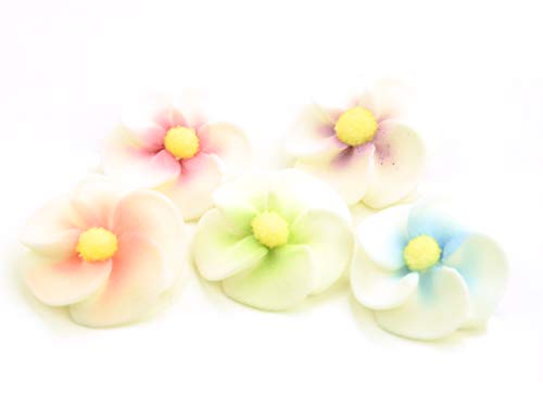 Apfelblüten bunt Zucker 5 Stück Apfelblüten bunt Zucker 5 Stück von Pati-Versand