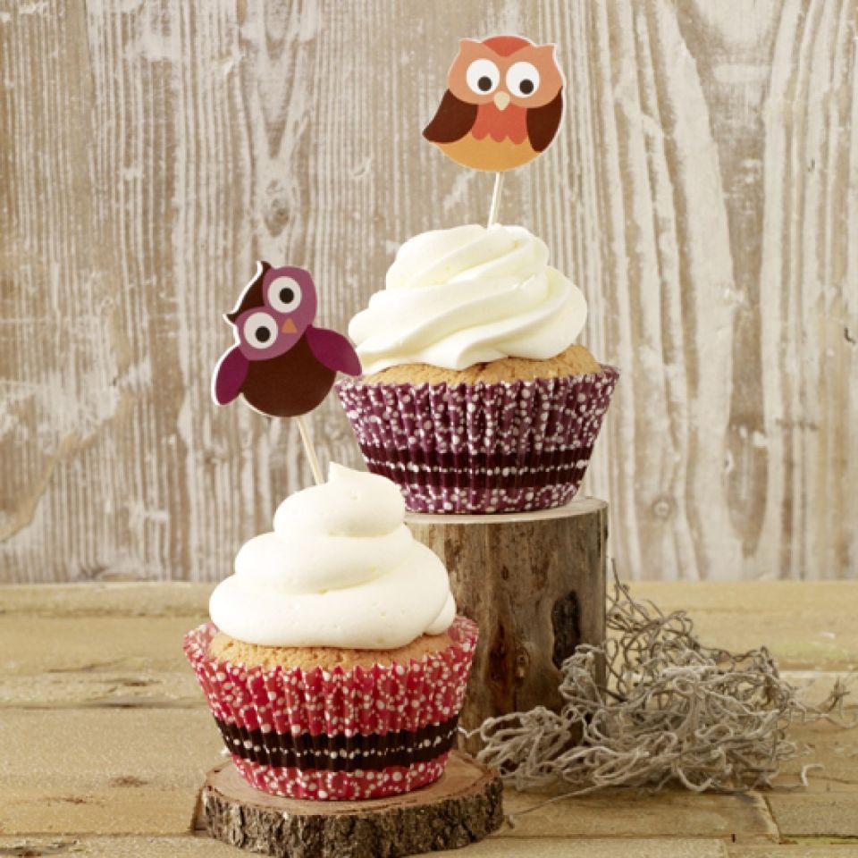 Birkmann Cupcakes-Set Eulen Birkmann Cupcakes-Set Eulen von Pati-Versand