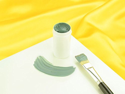 Cake Painting Color iron grey 20g Cake Painting Color iron grey 20g von Pati-Versand