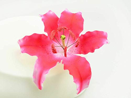 Feinzucker Blüte Lily dark pink spray von Pati-Versand