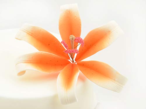 Feinzucker Blüte Lily white orange spray von Pati-Versand