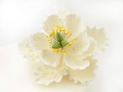 Feinzucker Blüte Peony white von Pati-Versand